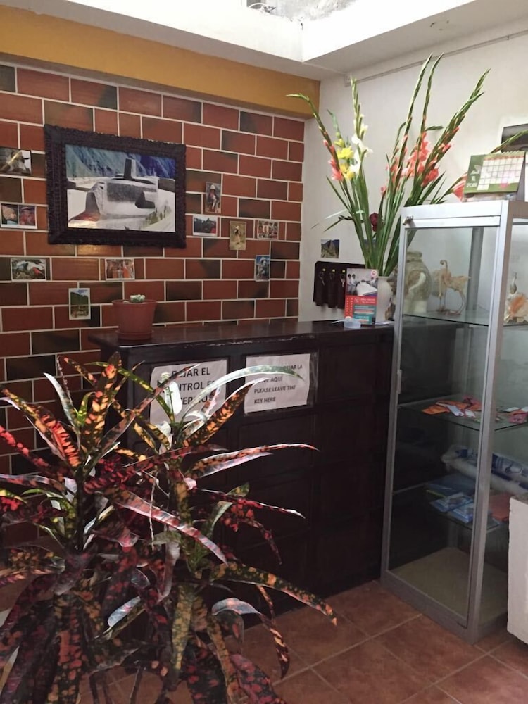 Hostal Bromelias 2