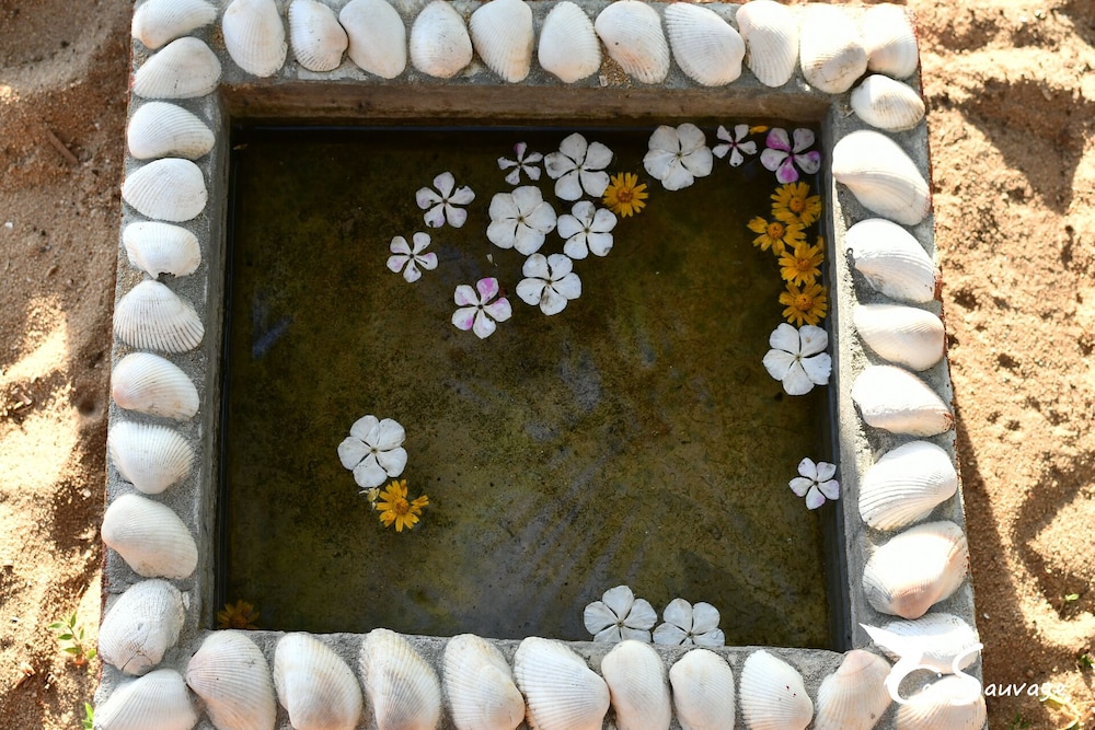 Photo 45