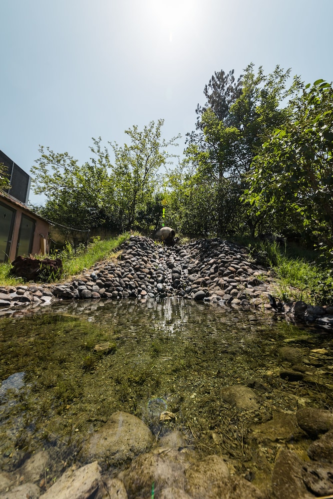 Organic House & Aquapark