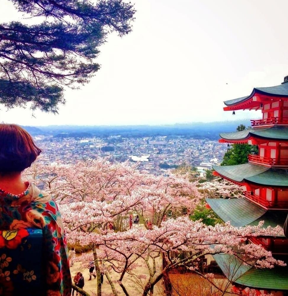 Pension Cottontail