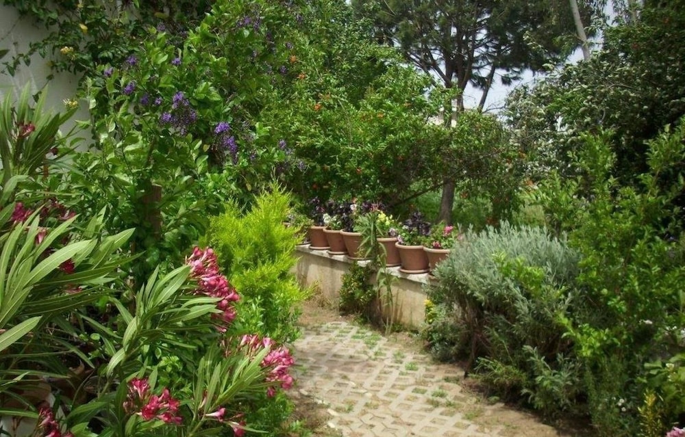 Photo 13