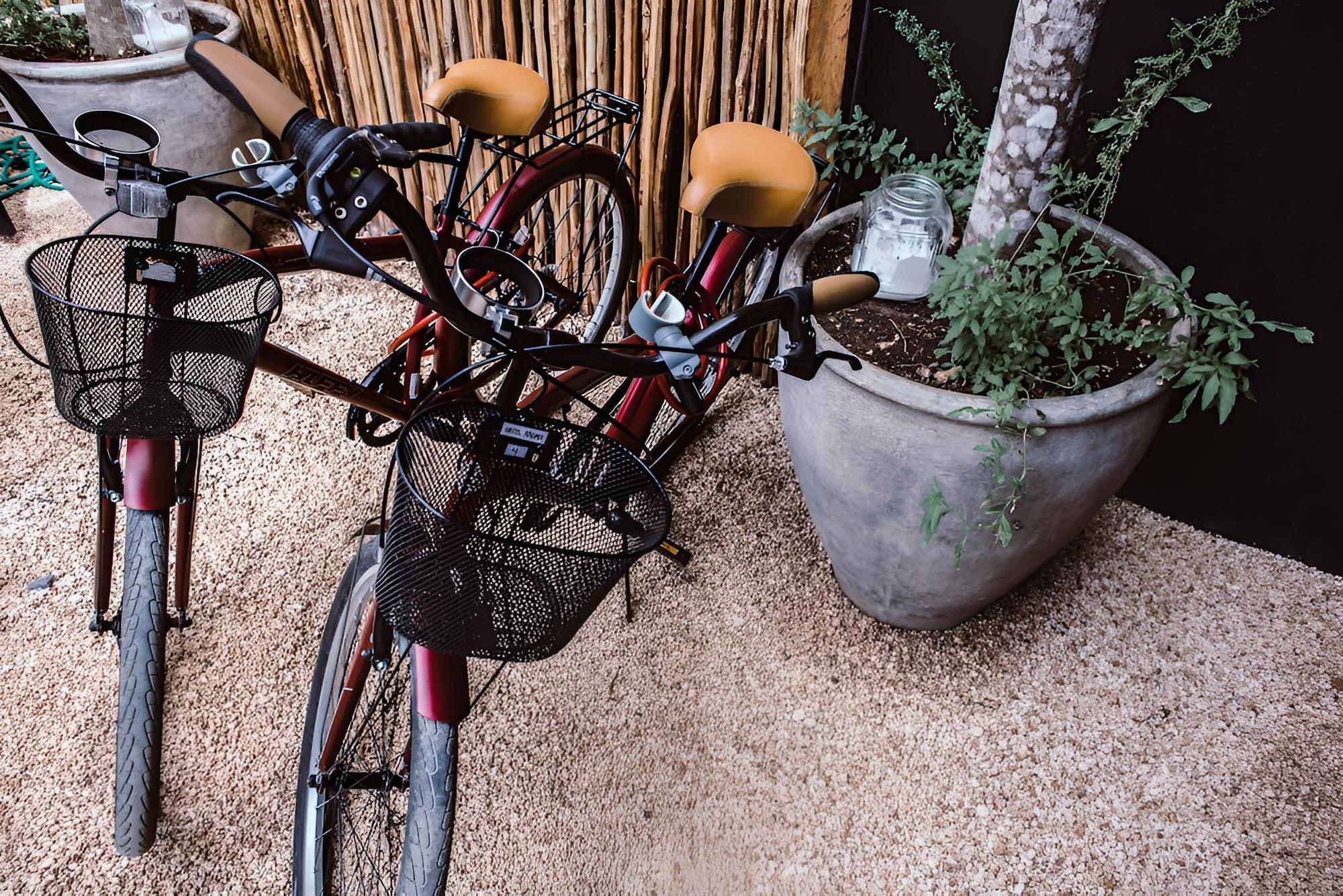 Aroma Tulum - Property Image 40