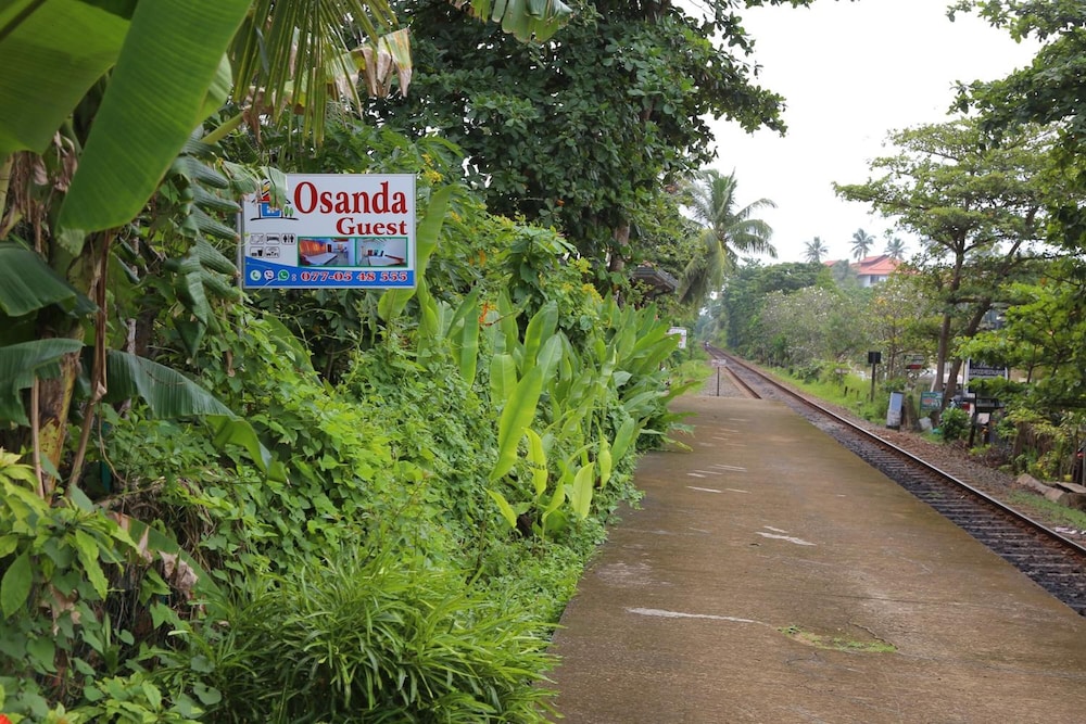 Osanda Guest