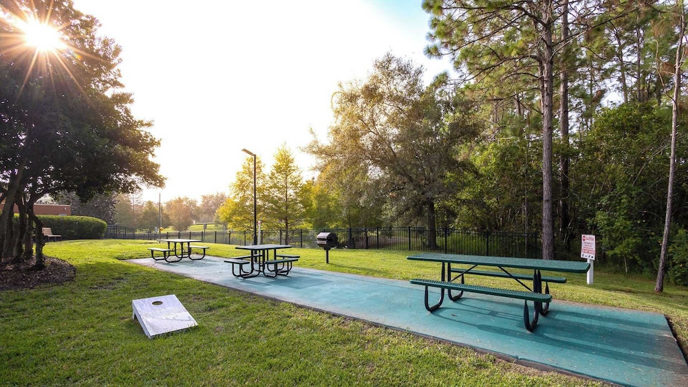 Homey Nature Escape Sleeps 6!