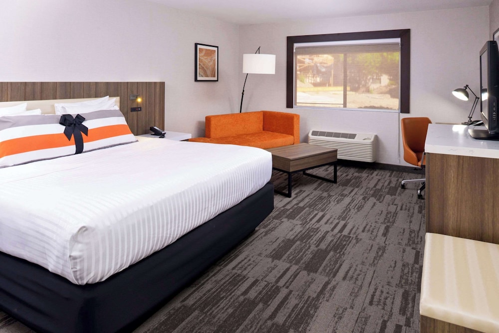 La Casa Modesto, Ascend Hotel Collection, Billede 11