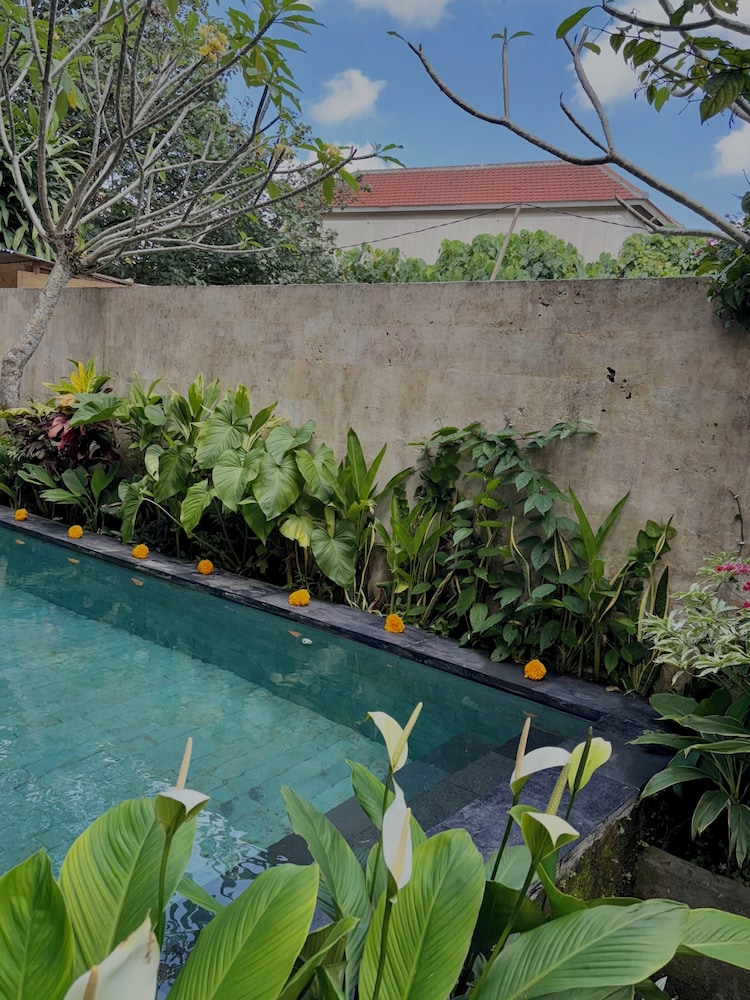 Blue Lotus Ubud