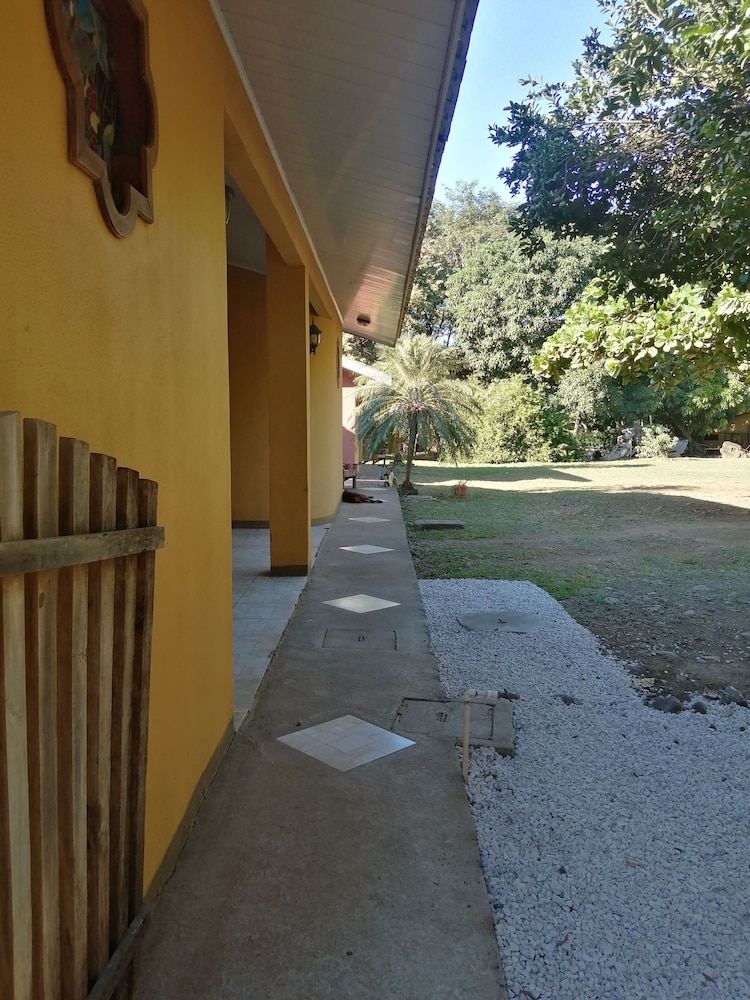 Photo 44