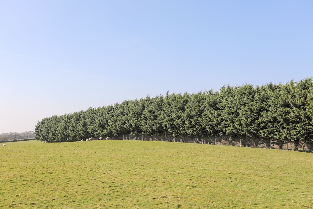 Bryn Afon Farm