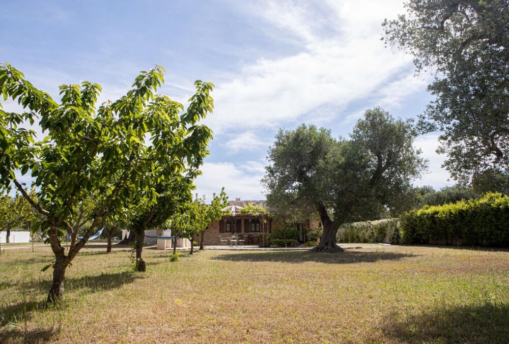 Photo 43
