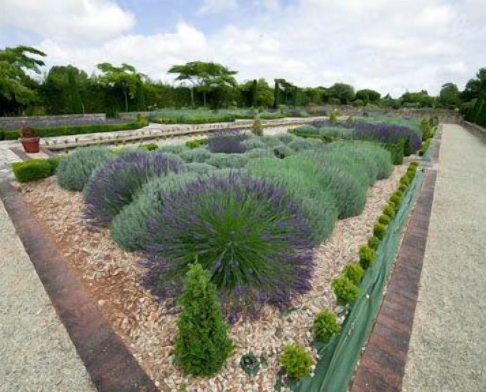 Les Jardins du Lac, The Originals Relais (Relais du Silence) - Property Image 17