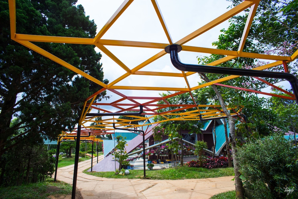 Maple Hostel