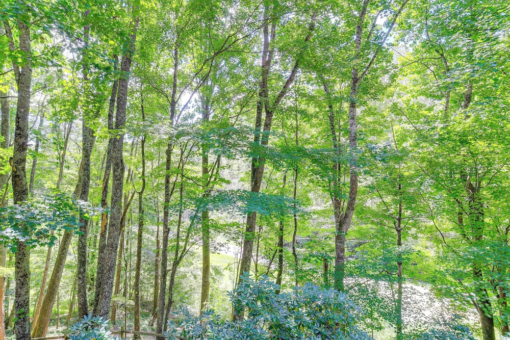 Near Boone-custom Built Cabin: 3 BR 3 BA W/hot Tub