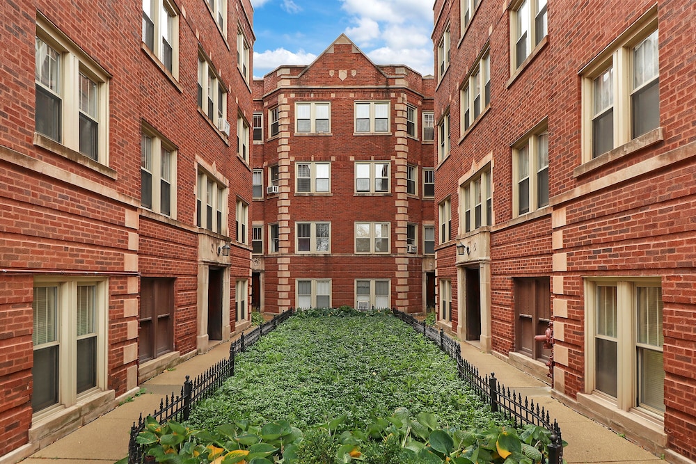1BR Portage Park Apt in Montrose view 2