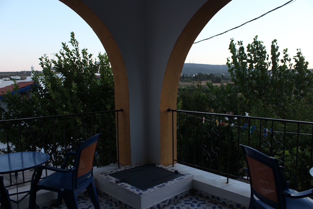 Photo 43