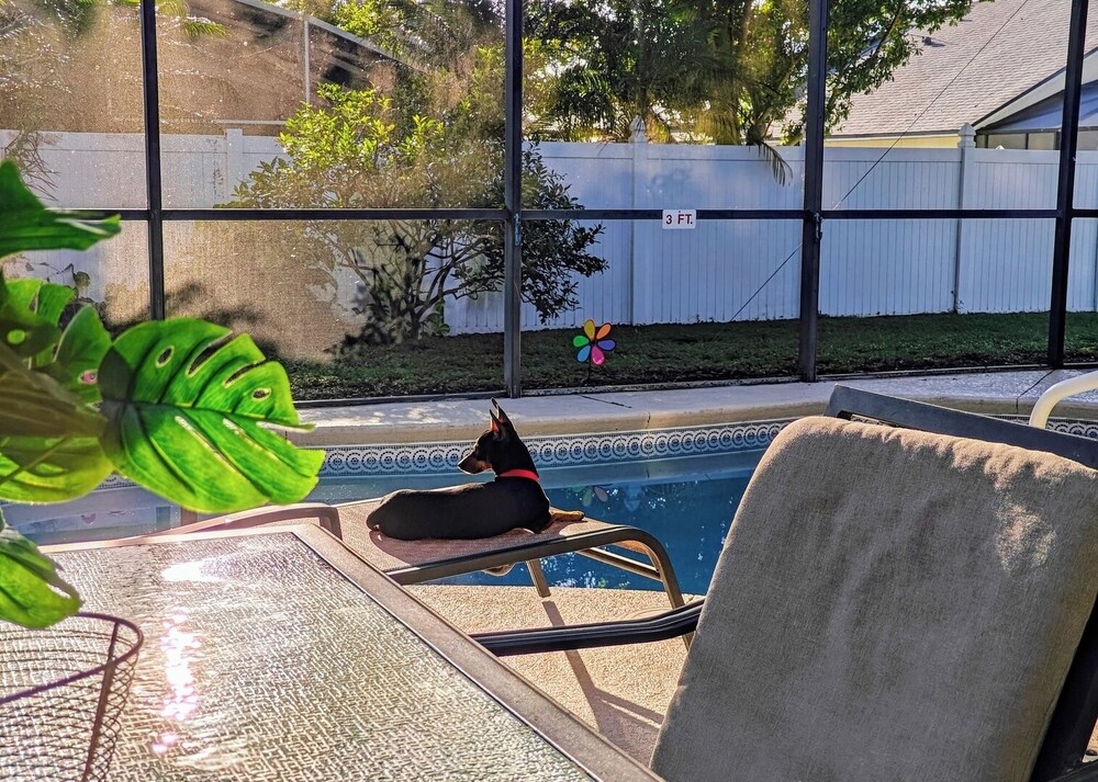 Chic 3 BR w/ Pool Near Disney Magic