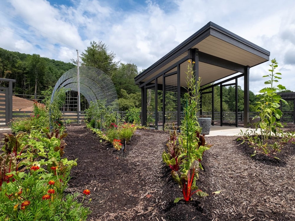 Creekside Yurt - The Whisperer