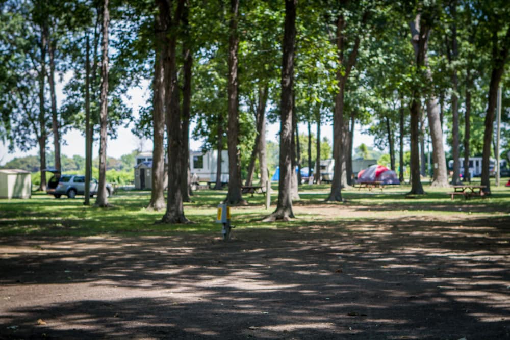 Willowood RV Resort