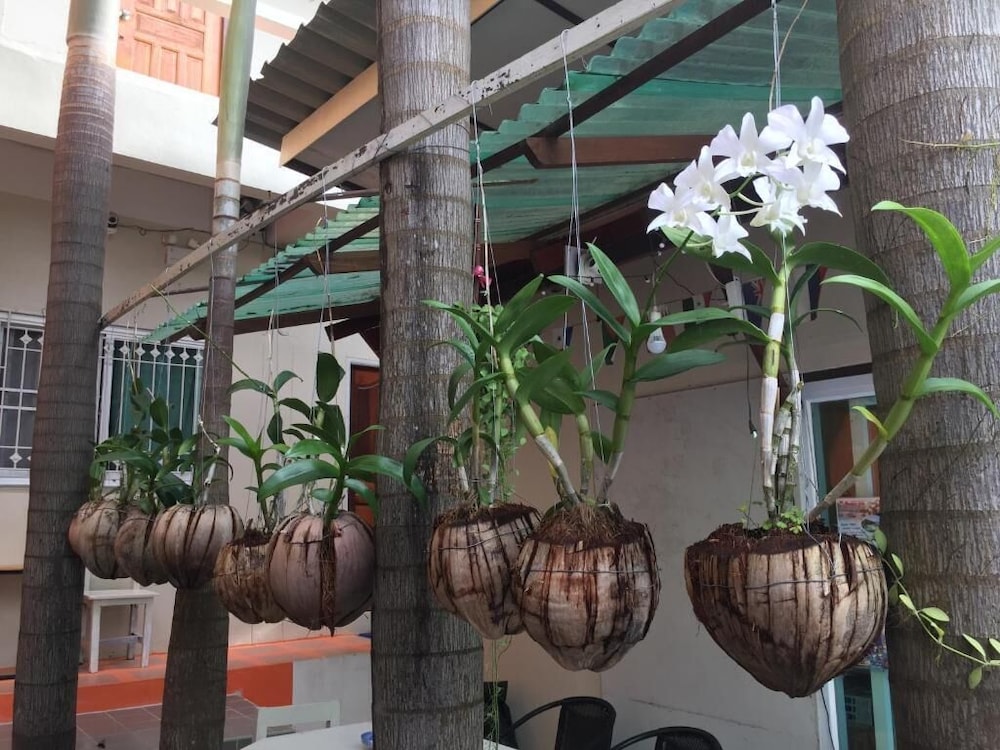 Sarin Guesthouse