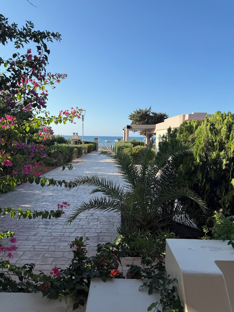 Amaryllis Beach House