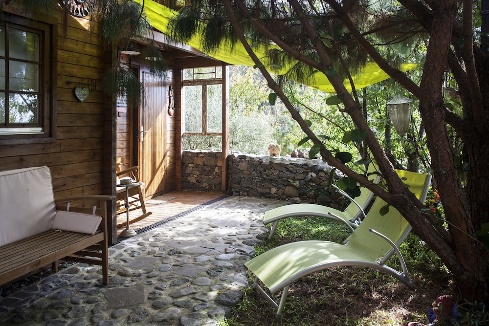 Casas Maravilha Calheta
