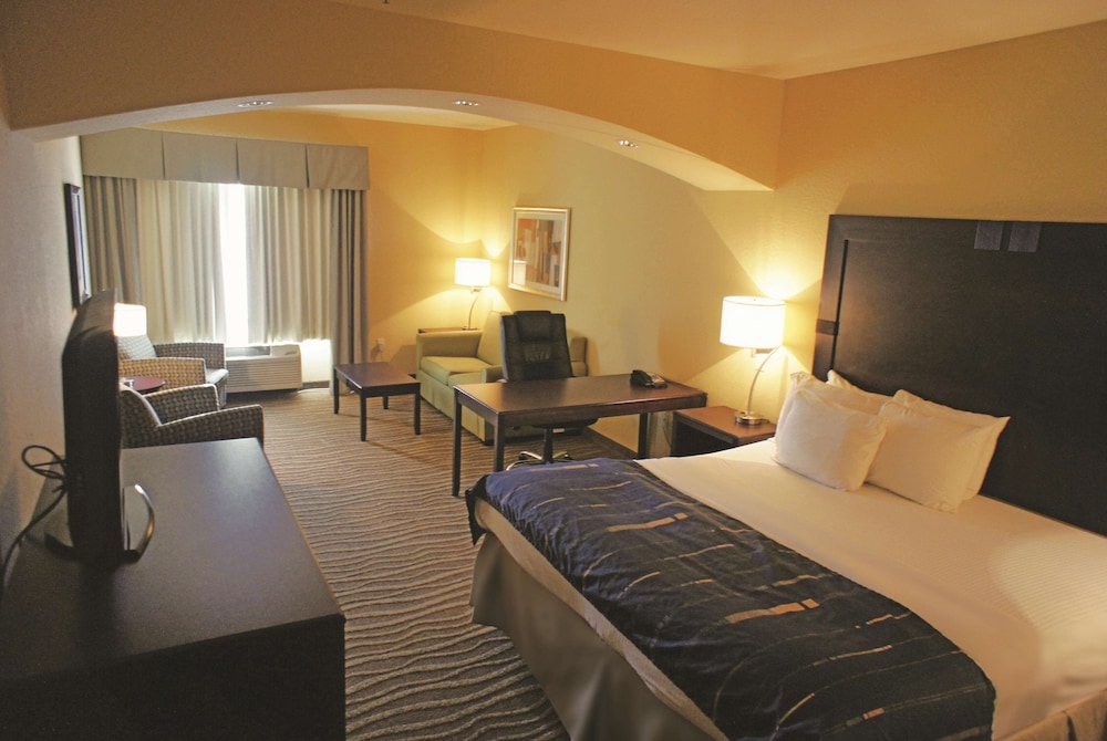 Spark by Hilton Hammond view 4