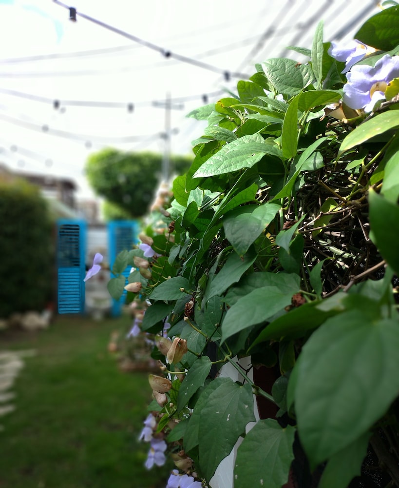 Via Emilia Bed and Breakfast Restaurante