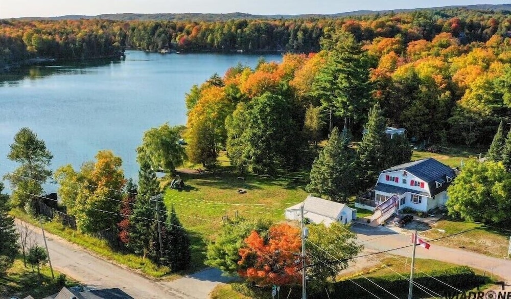 Teddy Bear Bed & Breakfast