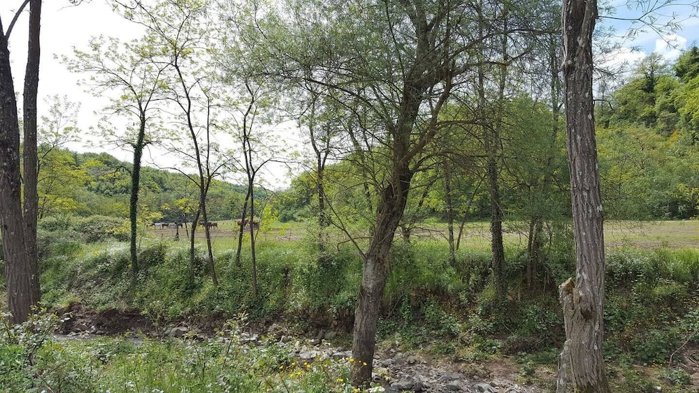Photo 26