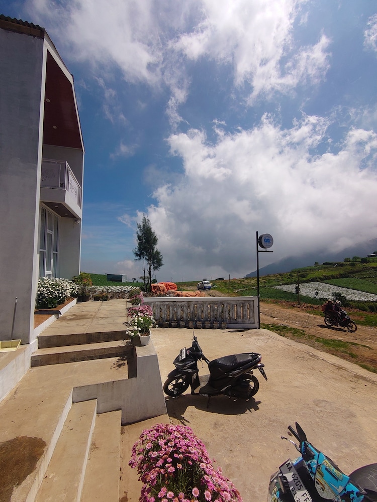 Skypiea dieng