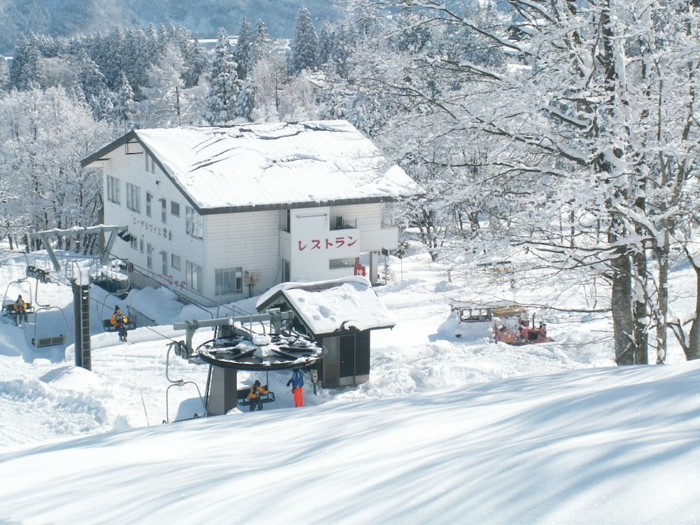 Edelweiss Akakura