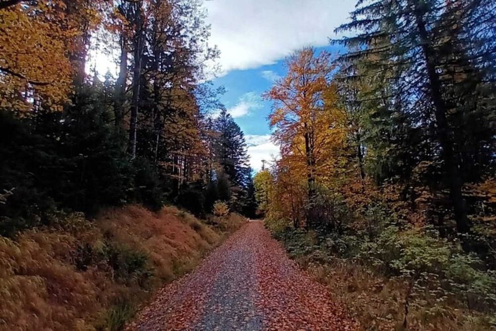 Holiday Home in Neureichenau Near Bavarian Forest