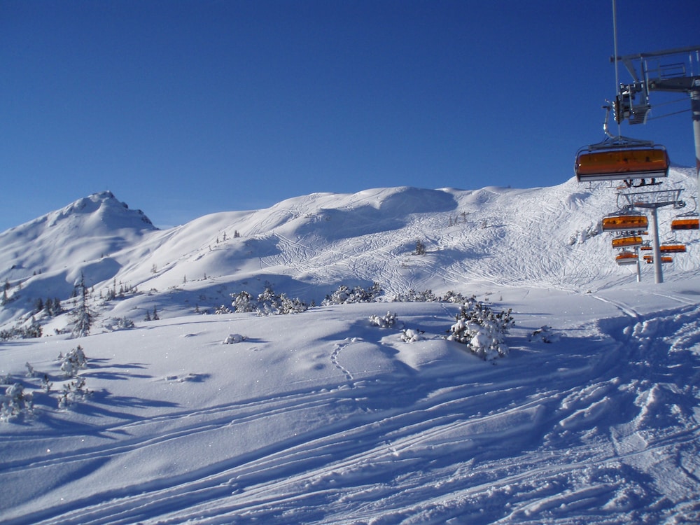Almdorf Flachau