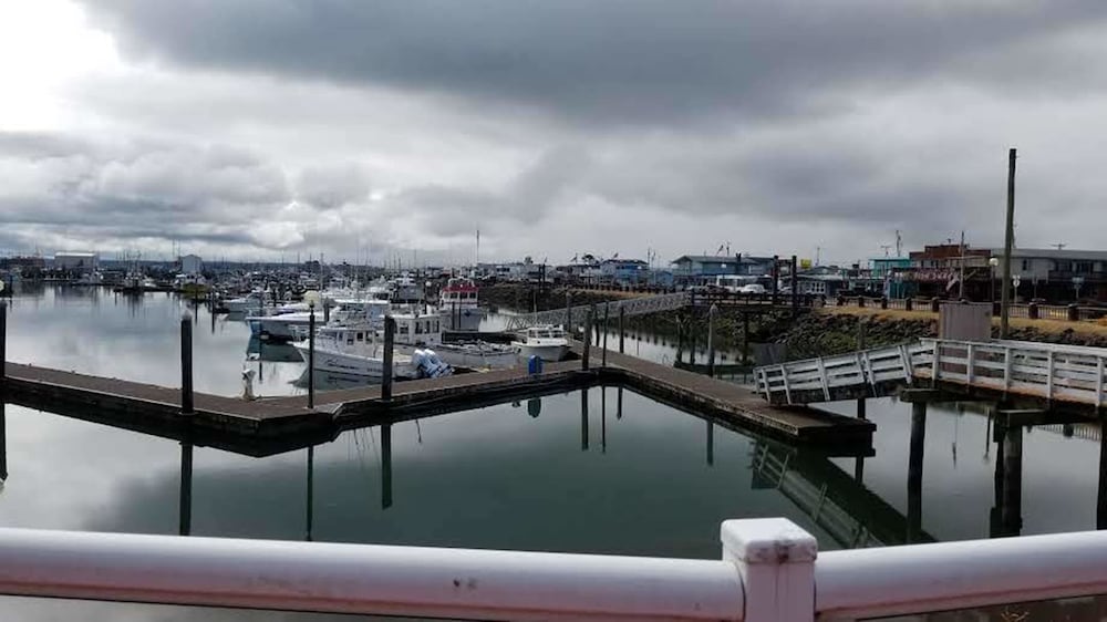 Islander Westport