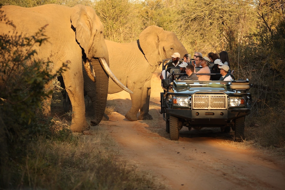 Karongwe - River Safari Lodge
