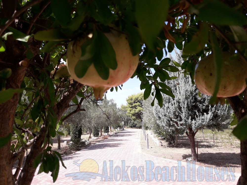 Alekos Beach Houses - Natura Gialla