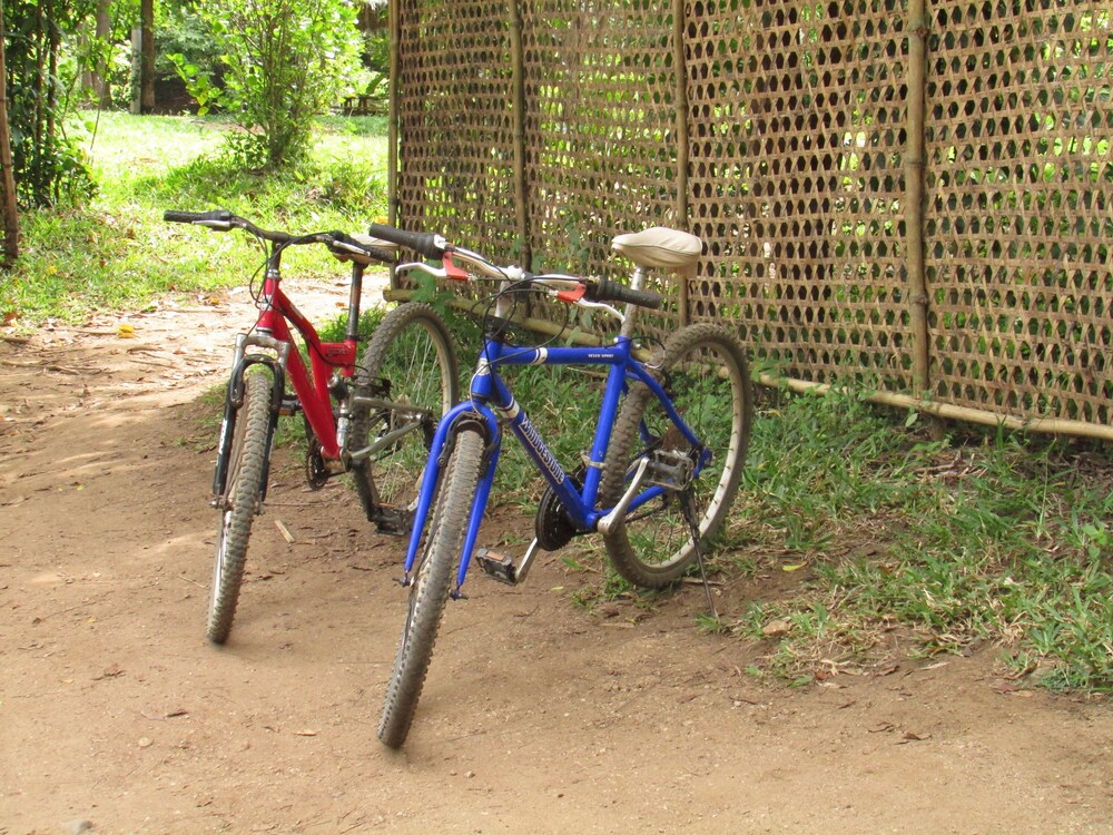 Udzungwa Forest Camp