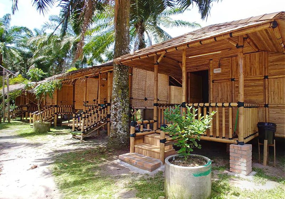 Tadom Hill Resorts photo 8