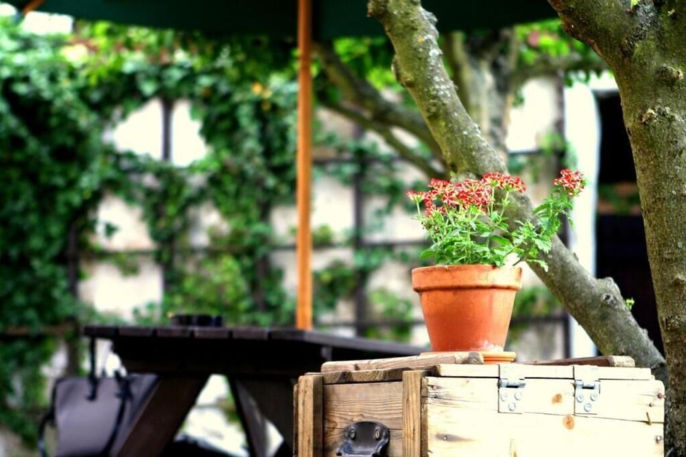 Havana Hostel