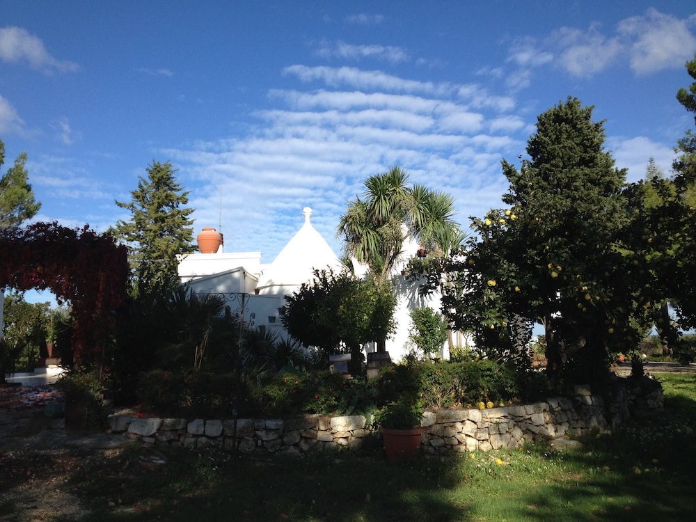 Photo 40