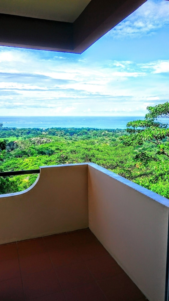 Vista Ballena