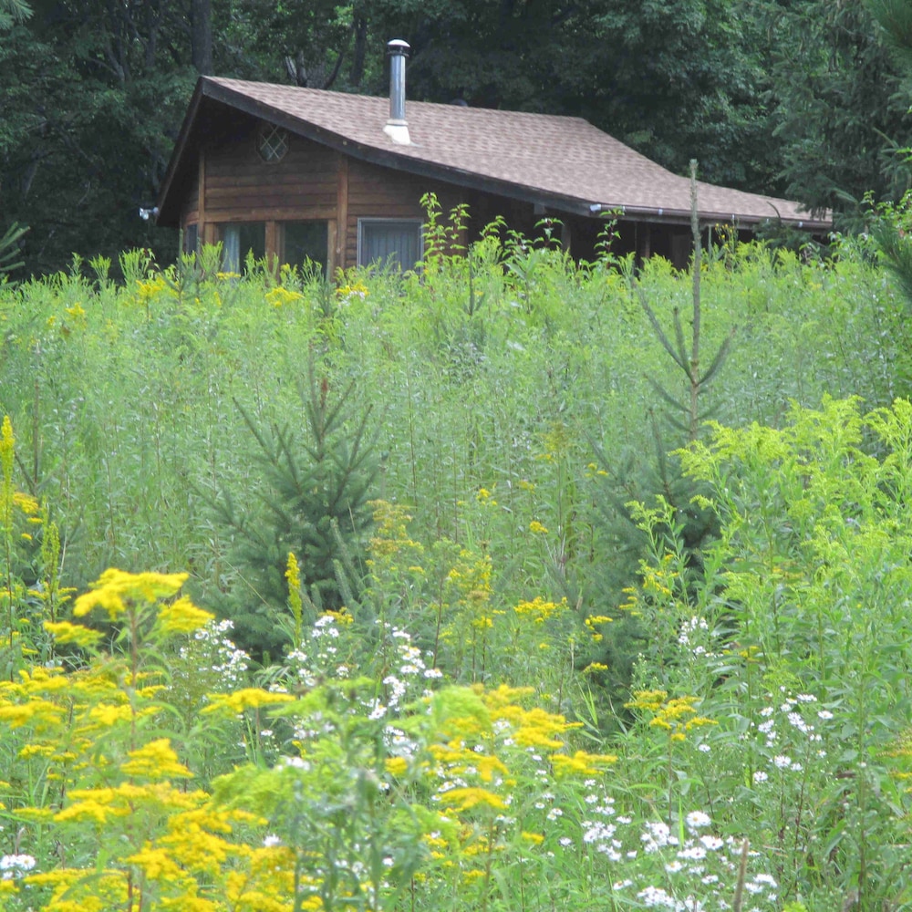 Shire In The Woods