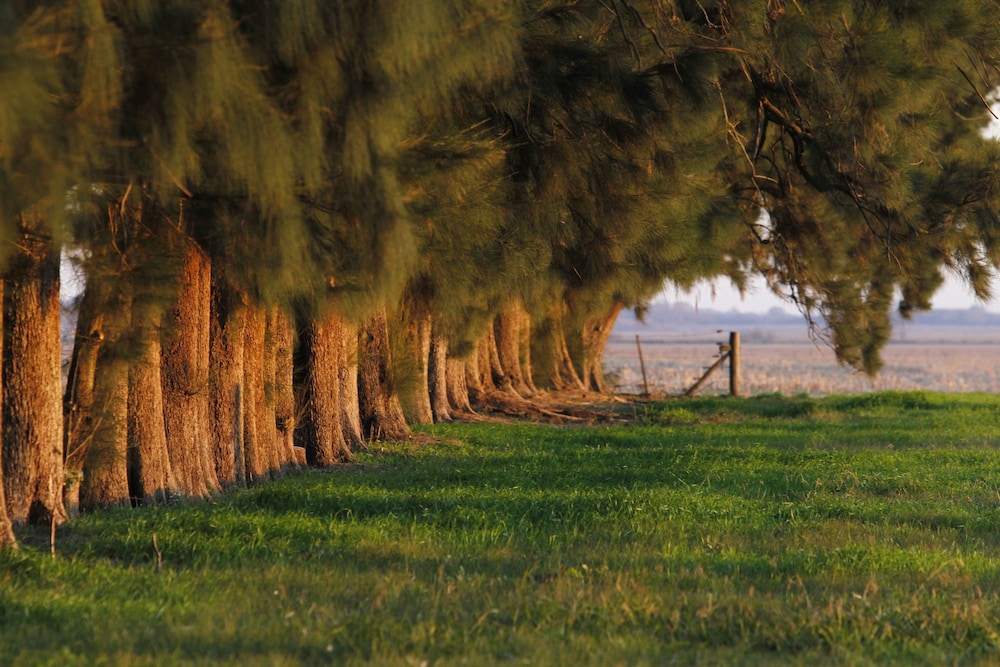 Estancia Argentina La Armonia