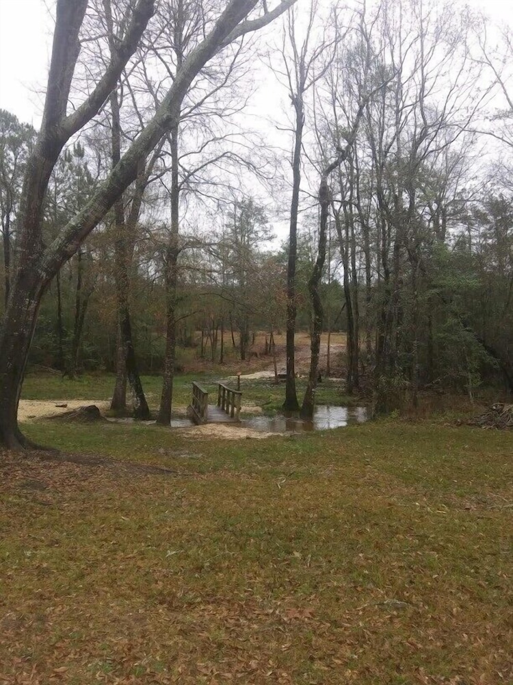 Photo 48