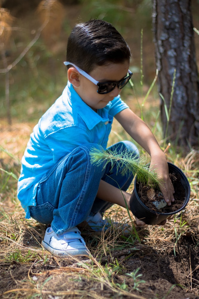 Sierra Lago Resort  Spa - All inclusive - Property Image 146