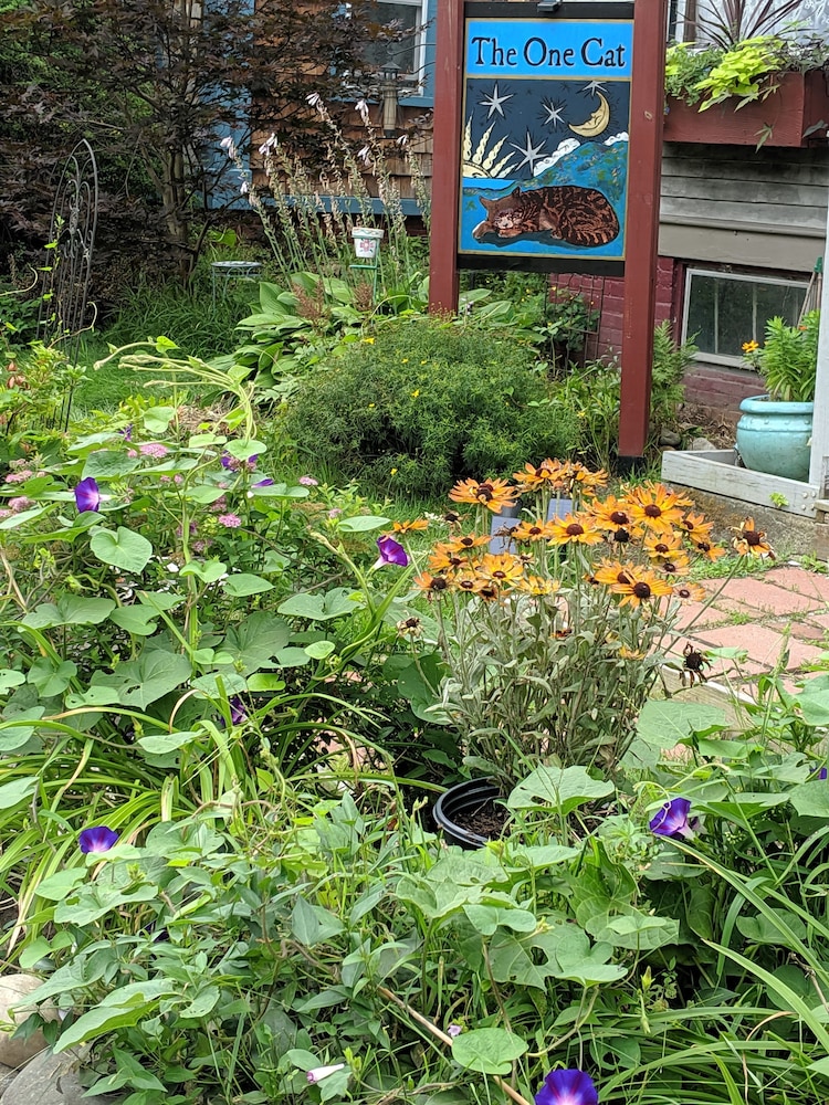 Brattleboro Vacations - The One Cat BB - Property Image 3