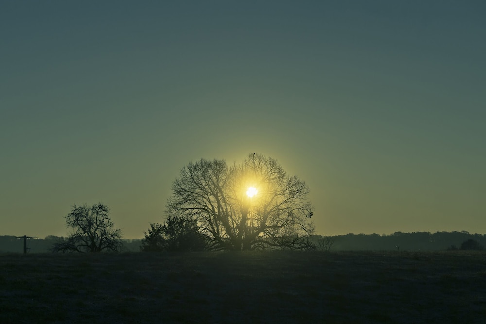 Photo 45