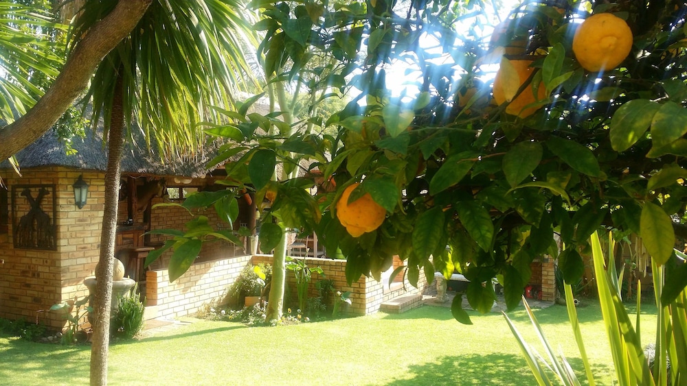 Citrus Lane Guesthouse