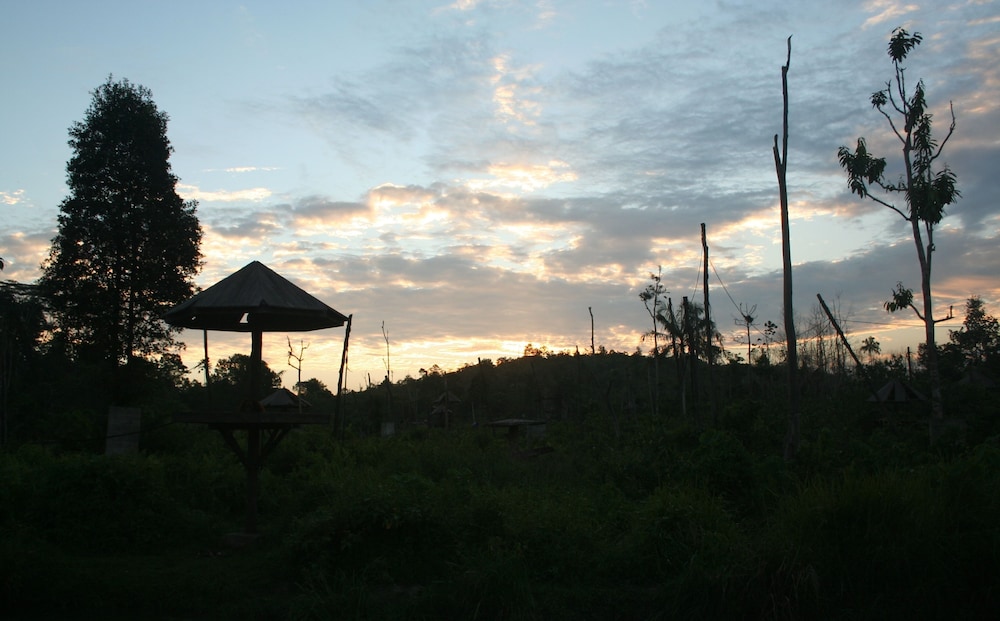 Samboja Lodge