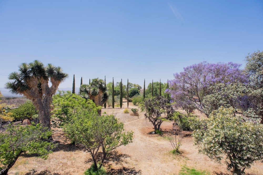 Posada los Olivos
