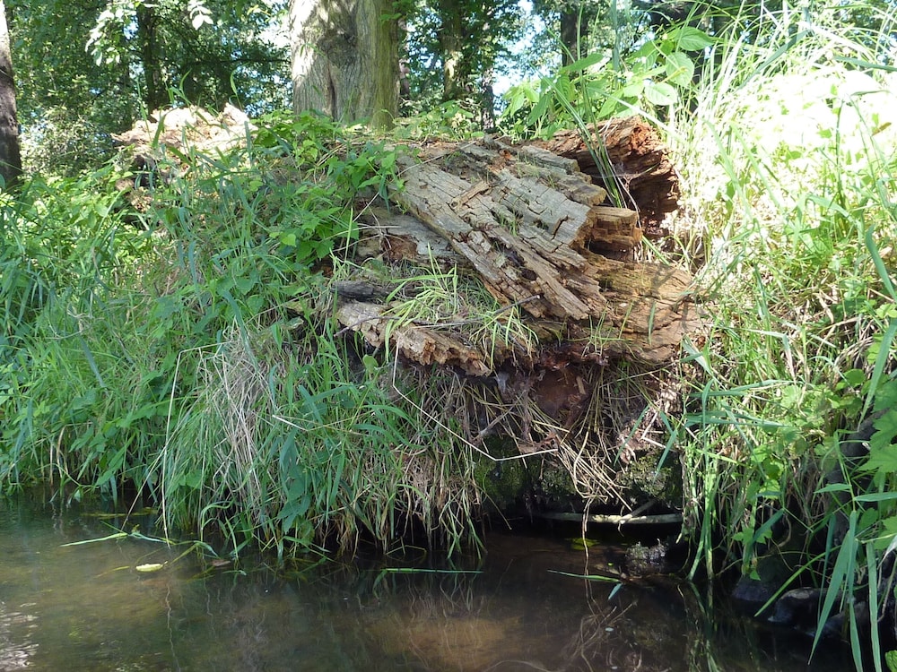 Spreewald Pension Spreeaue, Billede 51
